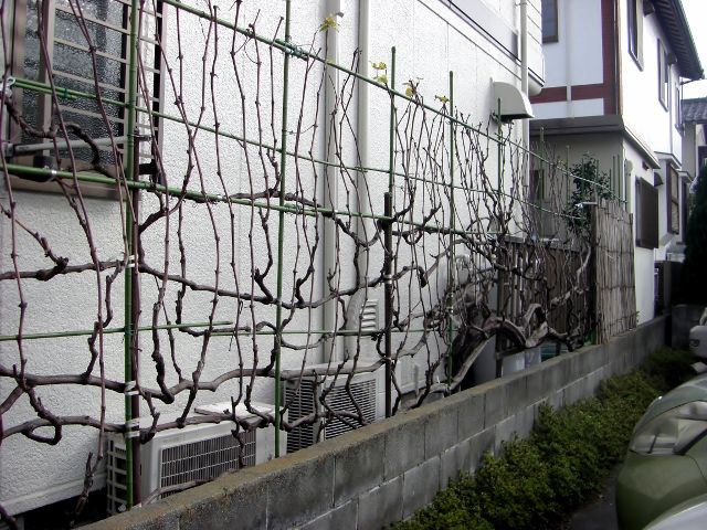 d5212c21.jpg