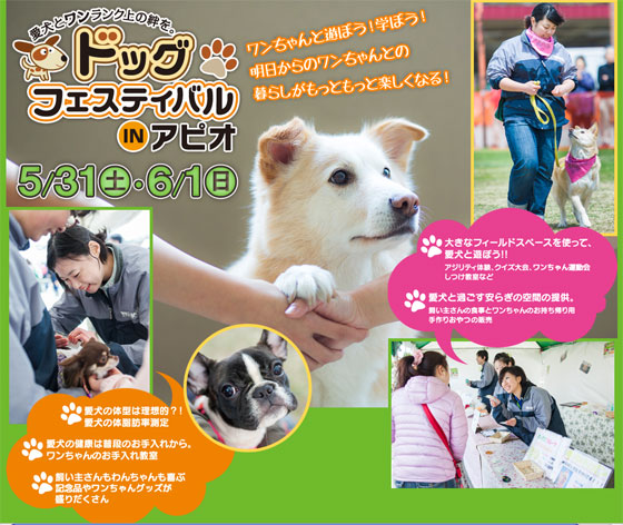 19年 わんこのイベント一覧表 岩手路を愛犬と遊ぼう 19年 わんこのイベント一覧表 岩手路を愛犬と遊ぼう