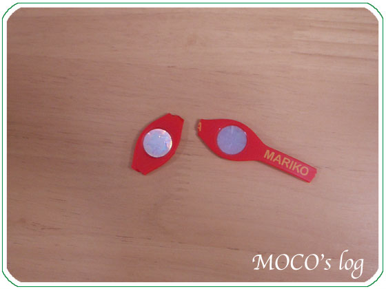 誤飲 でこぼこトイプードル日記 ニャン