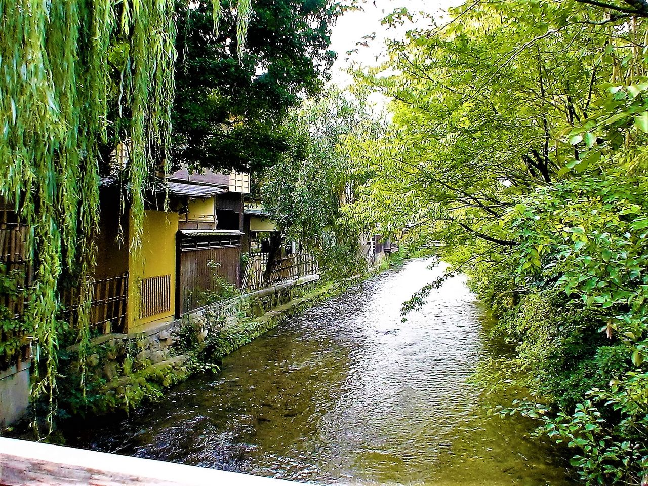 桂の逍遥アルバム 京都 祇園白川 巽橋 巽橋から 辰巳大明神 吉井勇歌碑 祇園白川沿い 大和橋から 05年10月下旬 桂の逍遥アルバム 京都 祇園白川 巽橋 巽橋から 辰巳大明神 吉井勇歌碑 祇園白川沿い 大和橋から 05年10月下旬