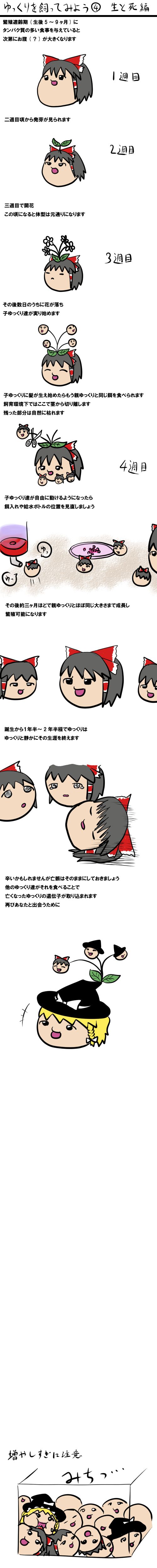 画像 ゆっくり虐待画像 ゆ虐 グロ注意 ひねもすqma虹雑記