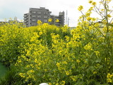 466a7b66.jpg