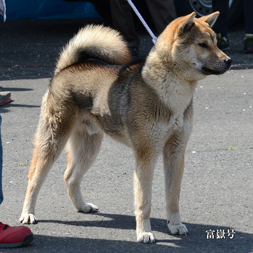 2018040301
