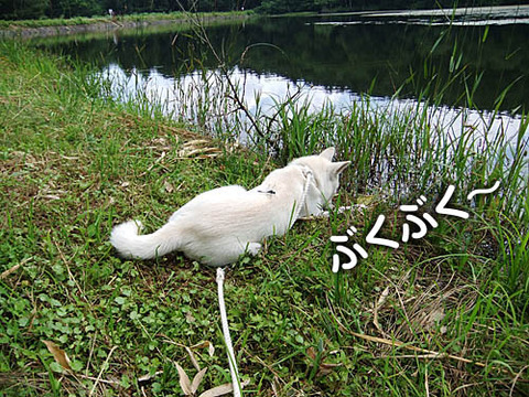 2010072507