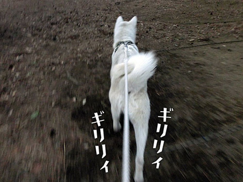 2013022006
