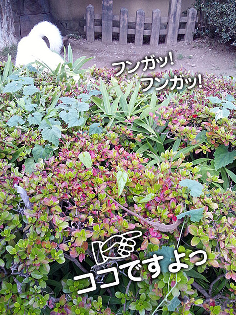 2011072703