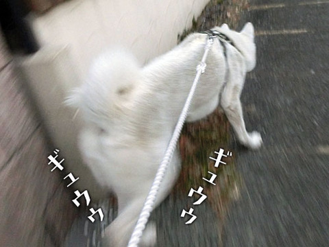 2013022005