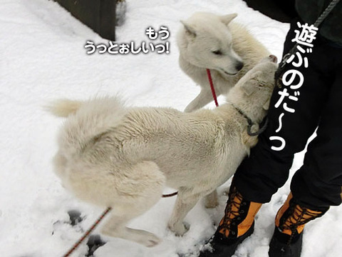 2013011408