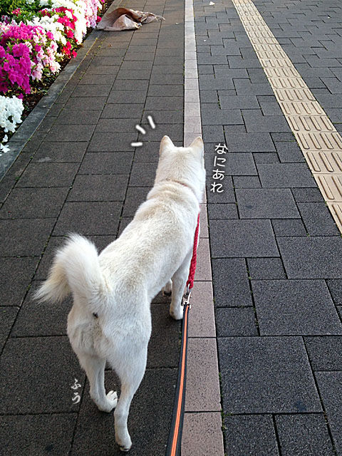 2014050902