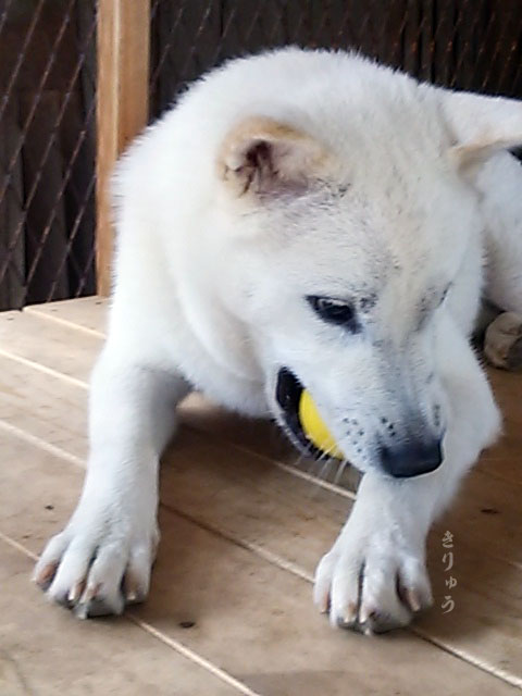 2016073002
