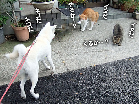 2011083005