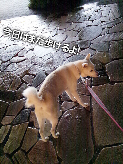 2011081902