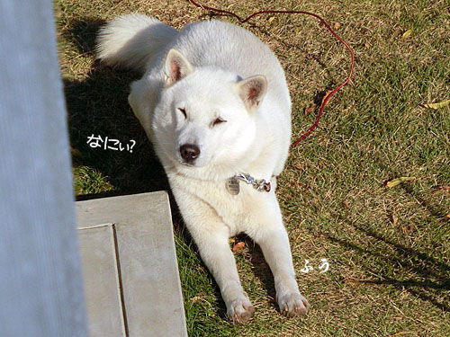 2013120202