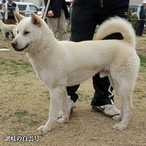 2015033101