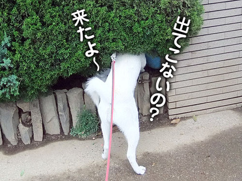2011052308