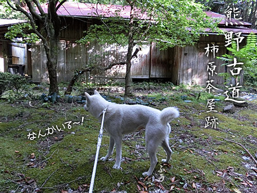 2015061010
