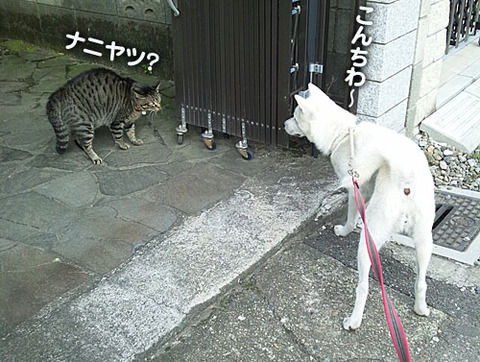 2011072701