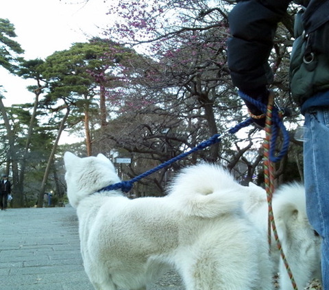 2013021703
