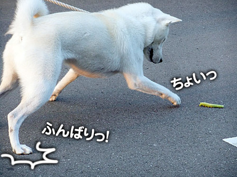 2011082803