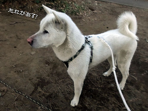 2013022007