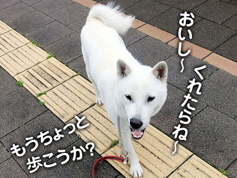 2011052306