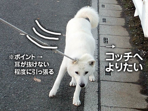 2010122302