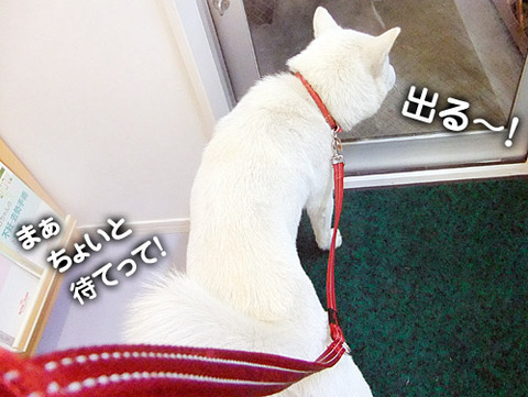 2011012503