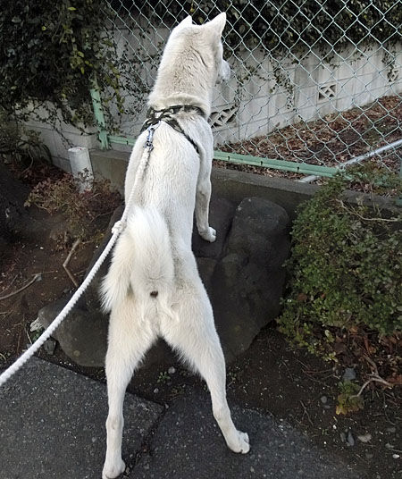 2013022010