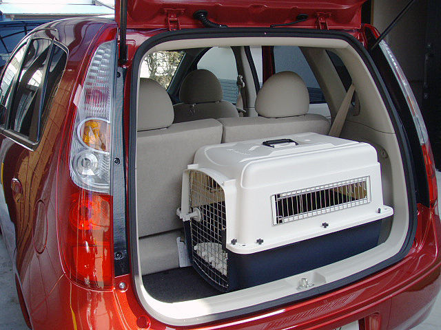 バリケンネル P 0 大宮の風