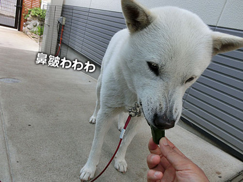 2013053003