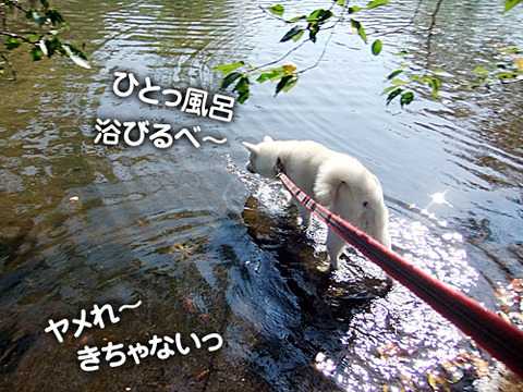 2011092805