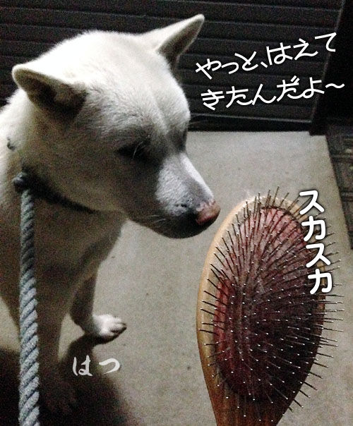 2013122903