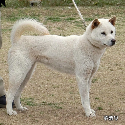 2015033105