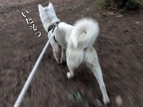 2013022008