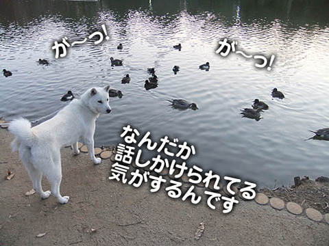 2010122703