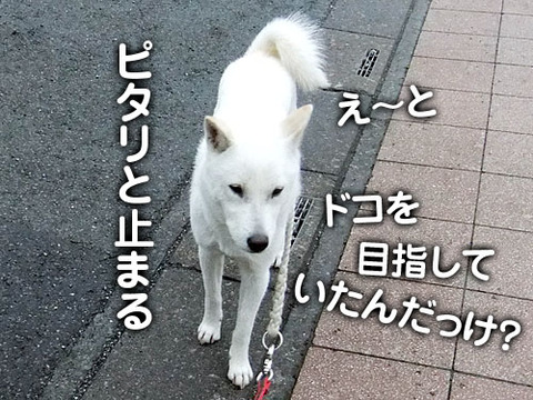 2011052316