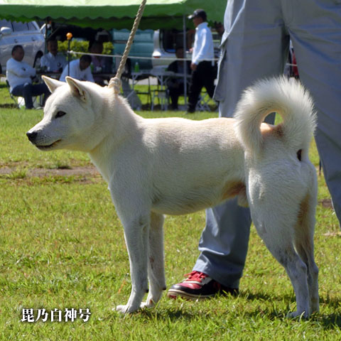2014092309