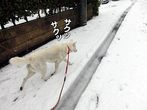 2013011406
