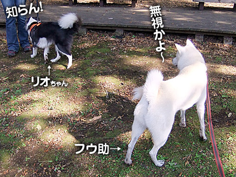 2011092803