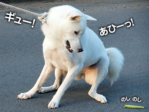 2011082804