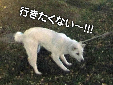 2010122505