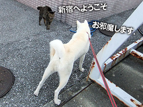 2011091803
