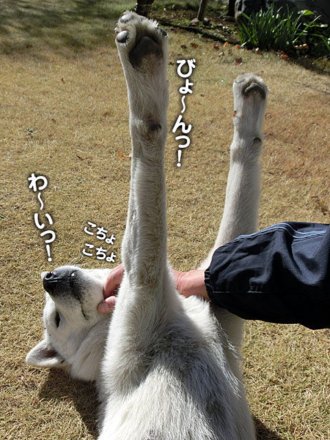 2012122608