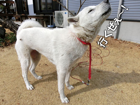 2013022001