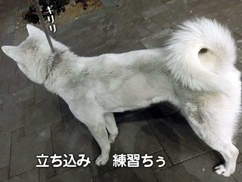 2013022011
