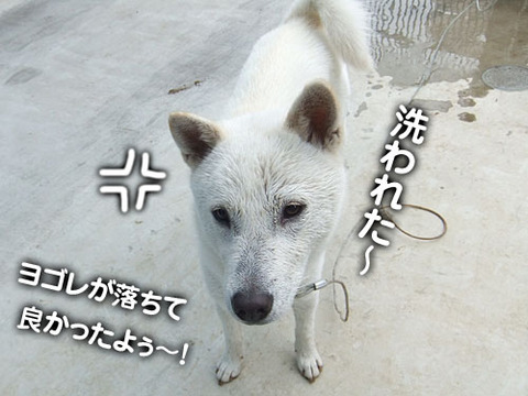 2011053103