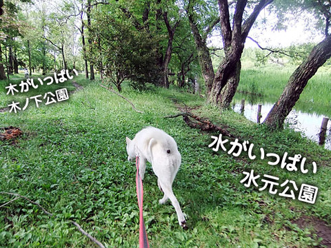 2011052503