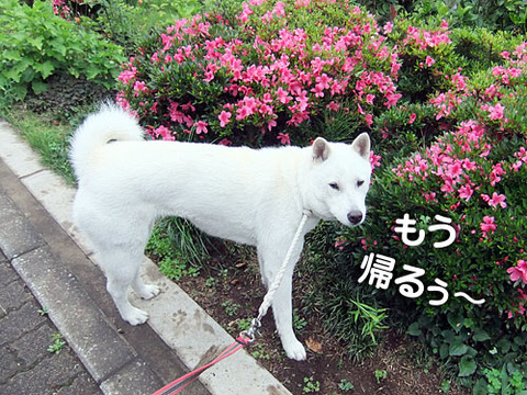 2011052305