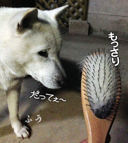 2013122901