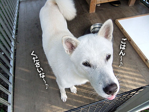 2011083008
